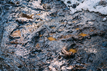 Dirt with water on the ground on spring day.