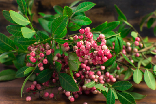 A fresh teig of rose pepper with fruits and leafs in wood backgroun close