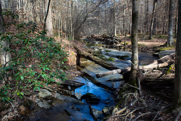 Pott's Branch Creek