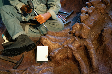 Archaeologist works on an archaeological site with dinosaur skeleton in stone fossil tyrannosaurus...