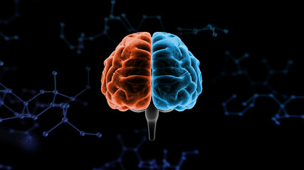 Brain head human mental idea mind 3D illustration background - obrazy, fototapety, plakaty