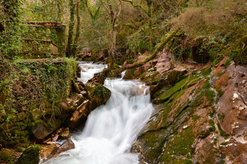 Fototapeta premium Río con cascada en un bosque