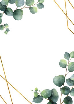 Watercolor vector frame with green eucalyptus leaves. 