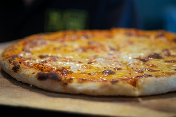 Pizza with cheese Delicious fresh,Homemead