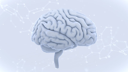 Brain head human mental idea mind 3D illustration background
