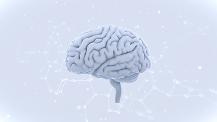 Brain head human mental idea mind 3D illustration background