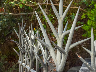 photography with iron fence
