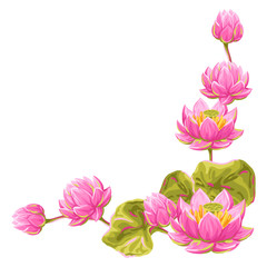 Decorative element with lotus flowers. Water lily illustration.