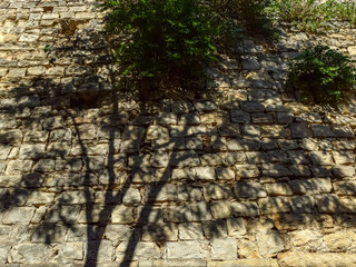 abstract wood shadow on a stone wall