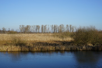 Offene Landschaft an der Spree bei Lübbenau (Spreewald)