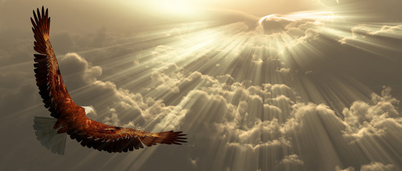 Eagle in clouds