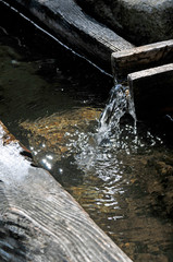 wassertrog