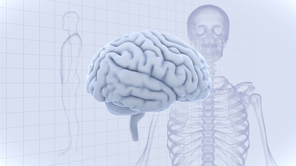 Brain head human mental idea mind 3D illustration background