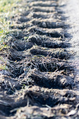 Reifenspuren am Boden von einem Traktor