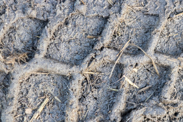 Reifenspur am Boden in der Erde