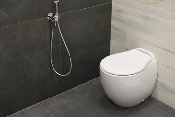 Modern home bathroom interior design with white, toilet or bidet with chrome shower head. Luxury...