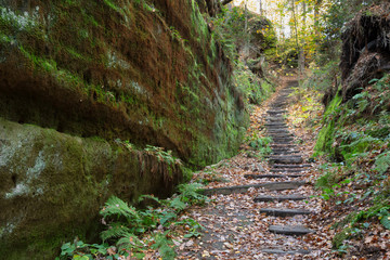 Deutschland, Sachsen, Elbsandsteingebirge, Nationalpark Sächsiche Schweiz, Weg