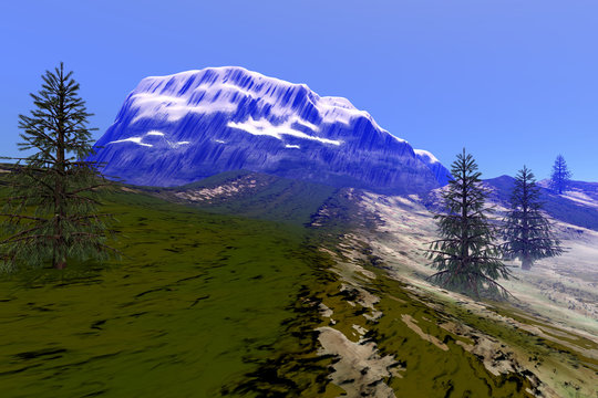 Mountain, an alpine landscape, coniferous trees, grass on the ground and a blue sky.