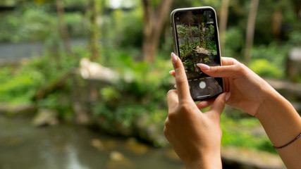 girl in a raincoat takes video in the jungle on video in a raincoat