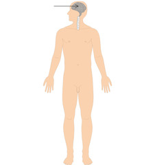 Fototapeta premium Ayurveda Dosha: Tarpaka Kapha