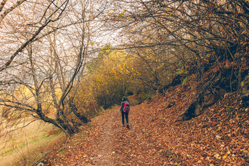 Obraz premium Woman is hiking in colorful nature scenic of forest and hills.