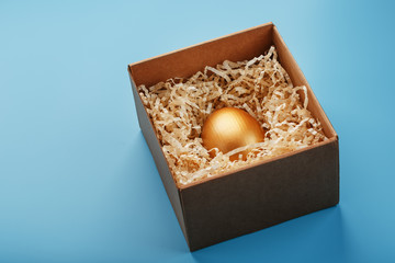A Golden egg in a box with shavings on a blue background. The concept of individuality, exclusivity, best choice, prize, special surprise, rare gift.