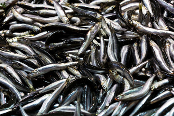 Fresh fish at a market in Istanbul on the banks of the Golden Horn. Close-up shot.