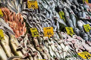 Fresh fish at a market in Istanbul on the banks of the Golden Horn. Close-up shot.