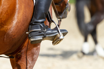 Dressage horse and rider