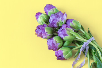 on a yellow background are purple tulips tied with lace ribbon
