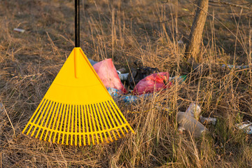 rakes and rubbish are collected on the grass in a heap - cleaning the territory in spring