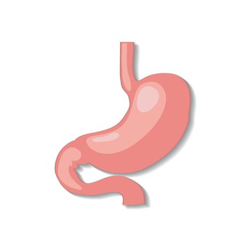 Cartoon stomach illustrations for doctors.