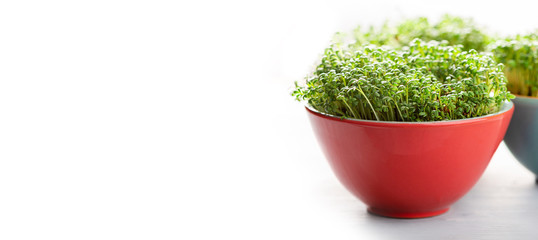Microgreen in colorful bowls on a white background, banner, free space for text, selective focus. Sprouts watercress salad, superfood, copy space.