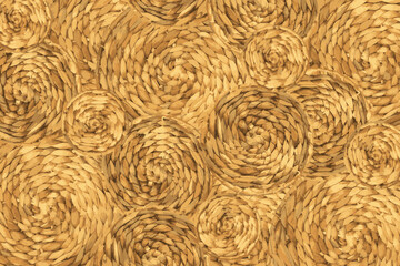 Braid waterhiacynth vector pattern