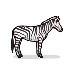 Fototapeta na wymiar Zebra cartoon isolated vector illustration