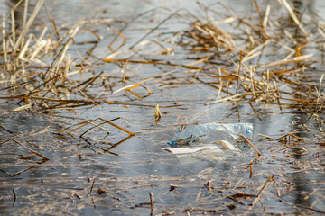 Plastic bottles of water in the pond 