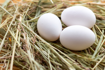White and brown raw chicken eggs lie in a straw nest