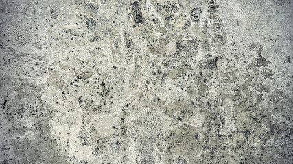 Stone texture with fossils