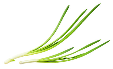 Fototapeta premium Two sprigs of green onions close-up top view on a white. Isolated