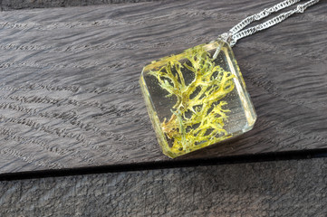 handmade epoxy resin jewelry. Iceland moss in glass, pendant.