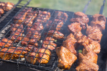 Barbecue grill with meat on nature, outdoor, close up
