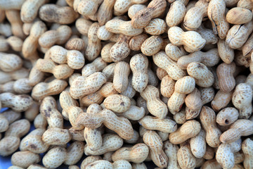 Piles of peanuts