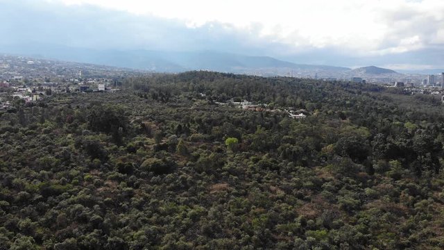 Tlalpan forest ecological reserve, south of Mexico City.
