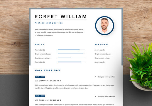 Resume Layout with Grey Frame and Blue Accents