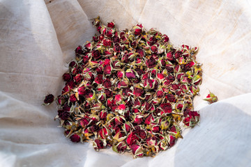 Herb flower concept, red rose flower dry on sunny on white straining cloth fabric background, small...