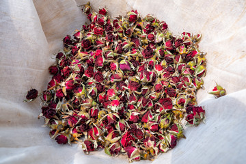 Herb flower concept, red rose flower dry on sunny on white straining cloth fabric background, small...