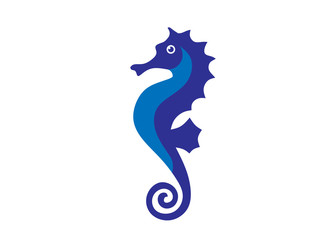 Sea Horse creative vector illustration,Sea animal color icons in trendy flat style