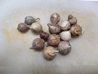 Solo garlic bulbs on cutting board,Copy space, closeup, selective focus