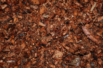Natural chopped coconut peel background. Ingredient for organic fertilizer. Concept of agriculture and natural Fertilizer Recipes.