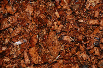 Natural chopped coconut peel background. Ingredient for organic fertilizer. Concept of agriculture and natural Fertilizer Recipes.